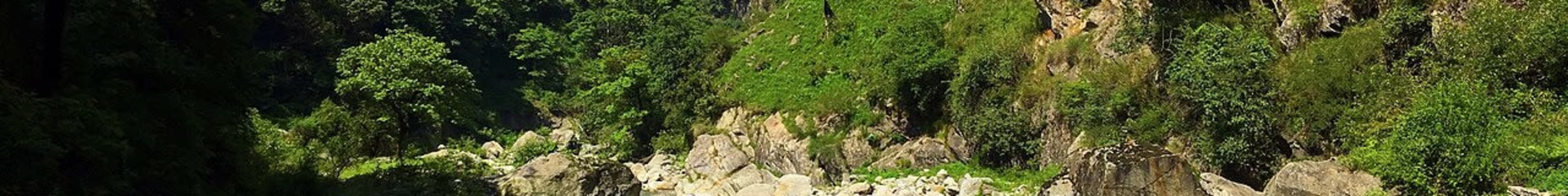 Tirthan Valley to Manali (Tirthan Valley → Manali) photo 8