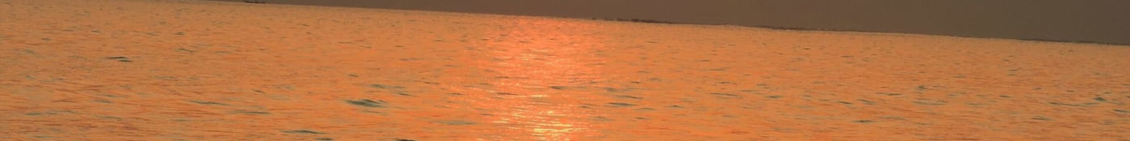 Radhanagar Beach 2D Circuit (Port Blair → Havelock Island on Cruise. Visit the Radhanagar Beach.) photo 1