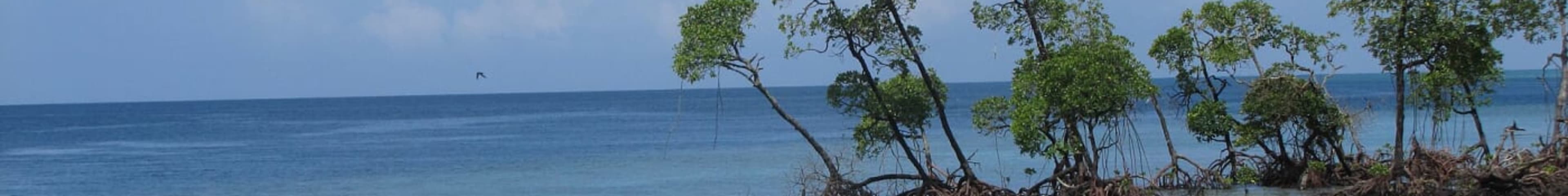Havelock Island → Neil Island 2D (Havelock Island → Port Blair on Cruise. Visit Bharatpur Beach.) photo 1