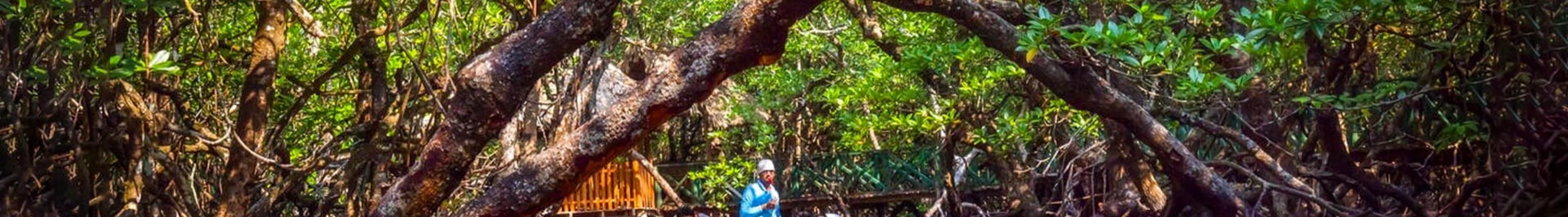 6 Days Andaman Tour Package With Neil