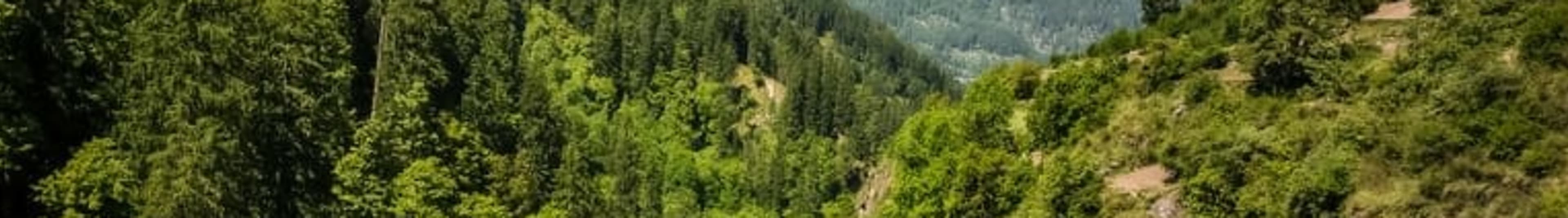 Kinnaur Orchards & Temples Weekend
