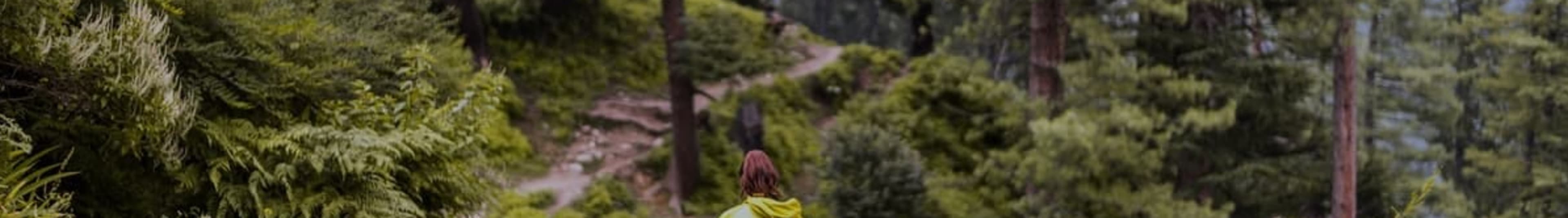 Jibhi Tour Package Image