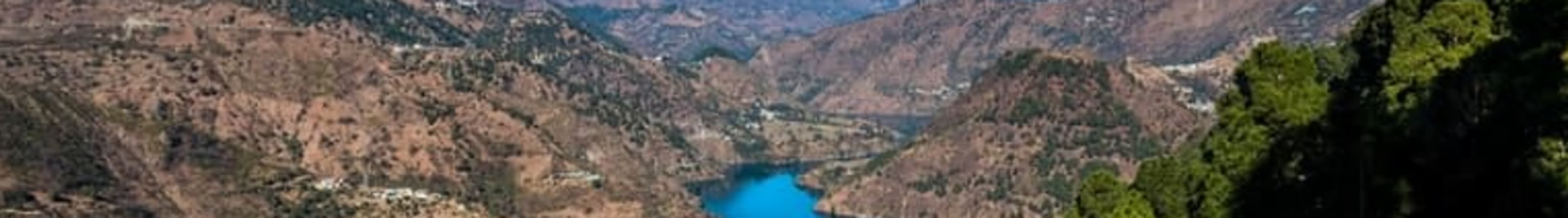 Emerald green Kangra tea gardens with mountain views