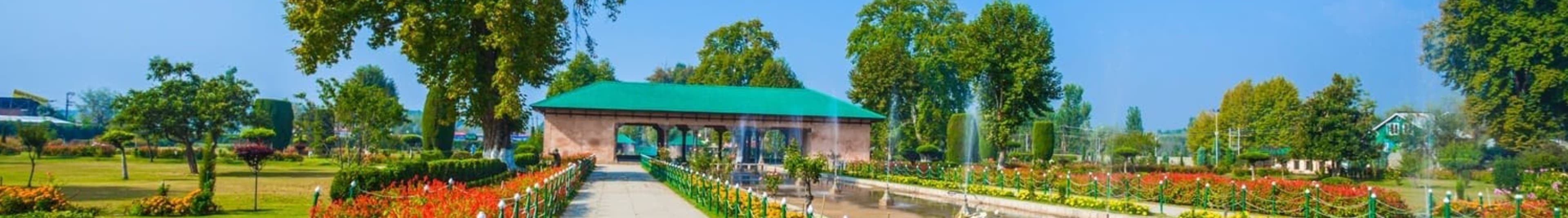 Kashmir Spring