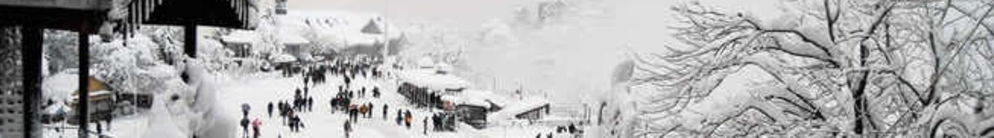 Snow-covered Shimla with pine trees