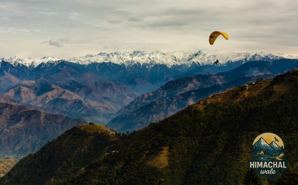 Dharamshala Cricket & Culture Weekend