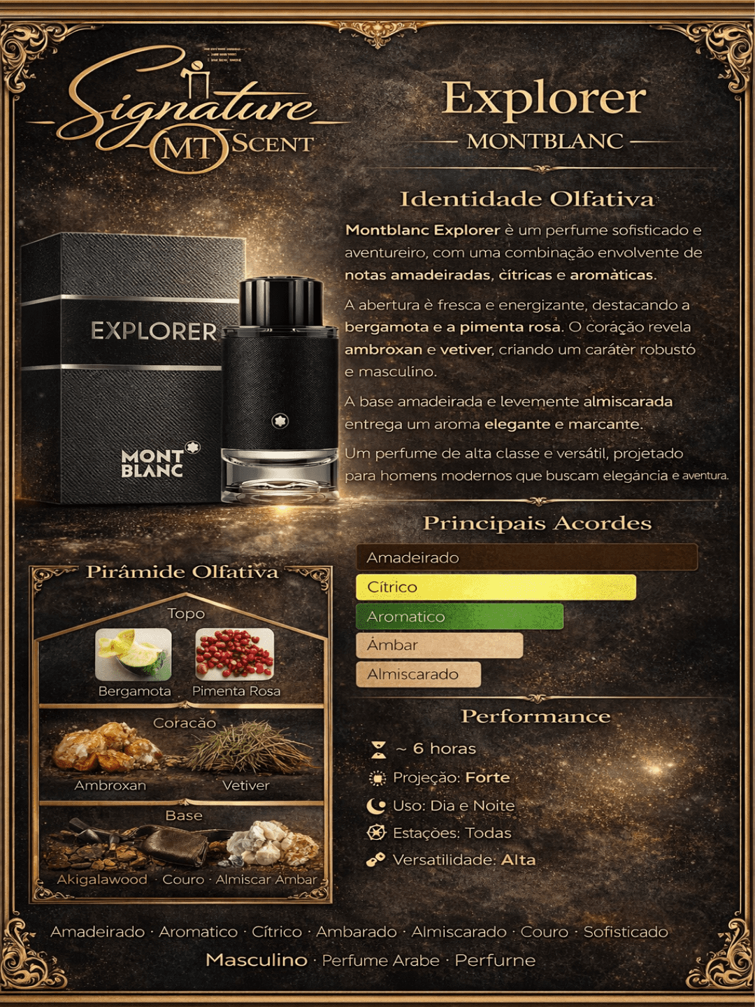 Explorer Montblanc