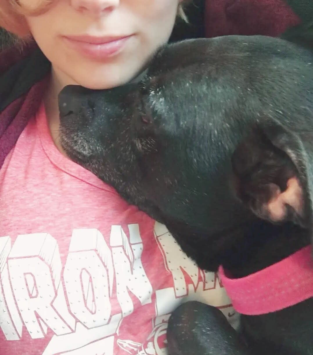 Black dog with a pink collar fast asleep against Charlie's chest