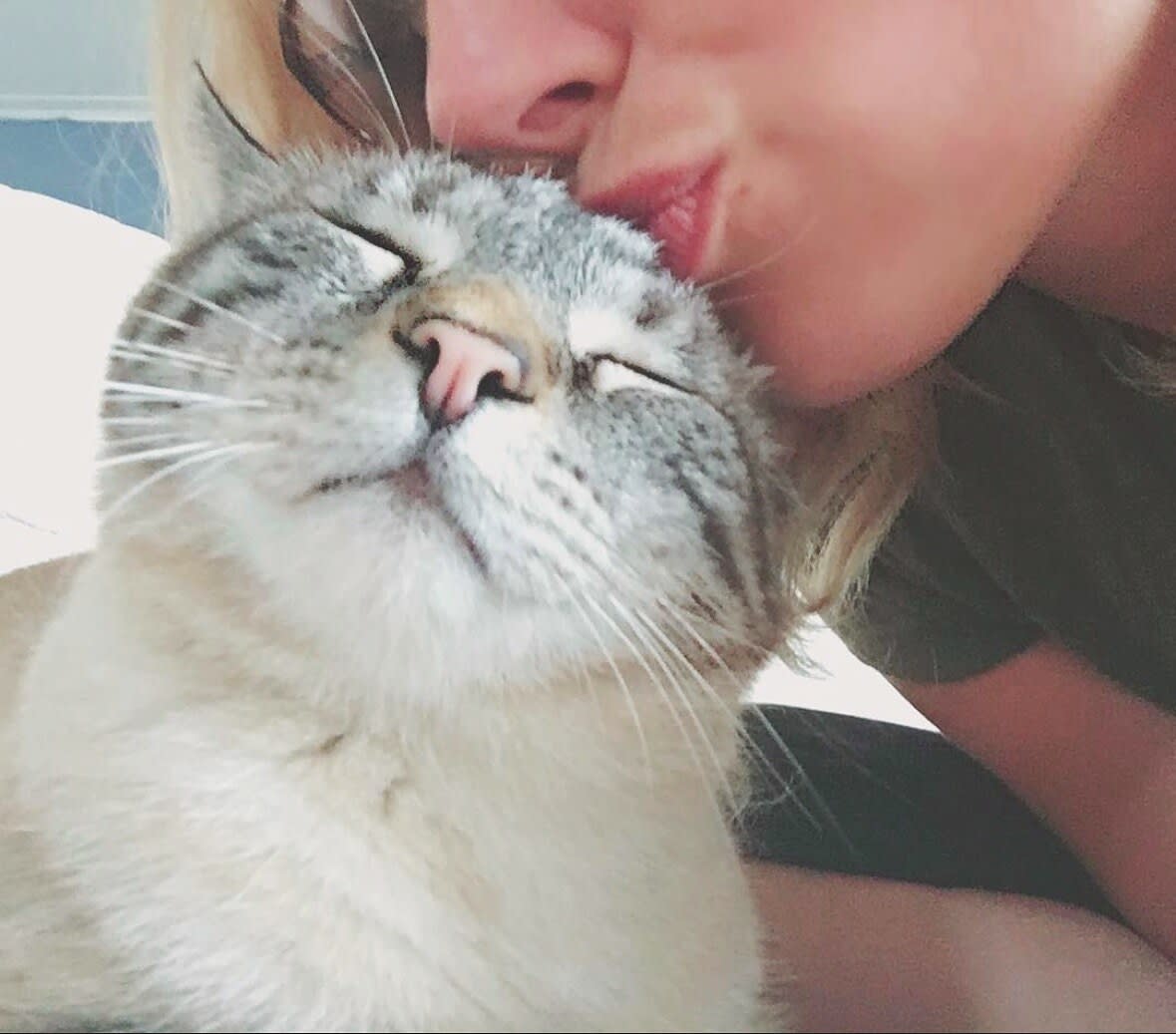 Close-up of Charlie kissing the head of a contented lynx-point tabby cat with its eyes closed