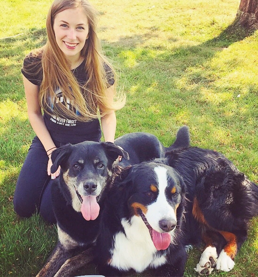 Charlie kneeling on a sunny lawn behind two happy dogs, a senior black and tan mix and a Bernese mountain dog