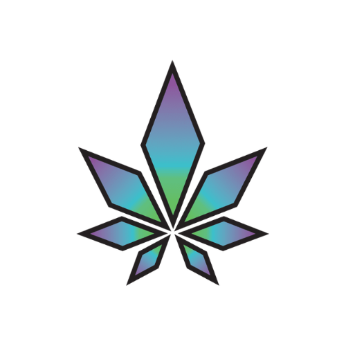 Wiid Boutique - Regina logo