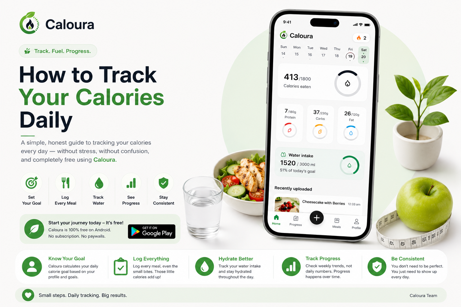 How to Track Your Calories Daily