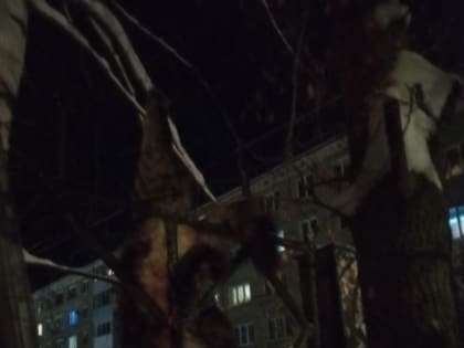 Городские спасатели оказали помощь животному
