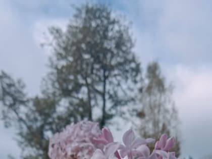 Бесплатное обучение для граждан в рамках федерального проекта