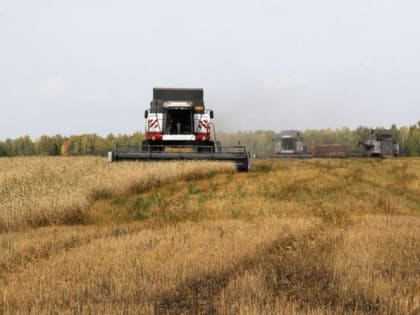 Снижение темпов уборки: сельское хозяйство сталкивается с вызовами