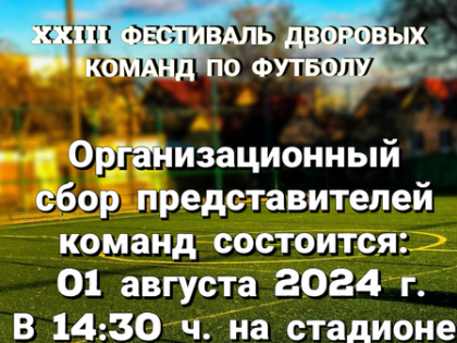 XXIII Фестиваль дворовых команд по футболу