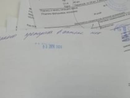 ЛЕКАРСТВ НЕТ, НО САЖАТЬ РАНО