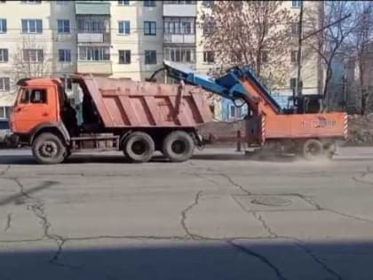 На улицы города вышли «Чистодоры»