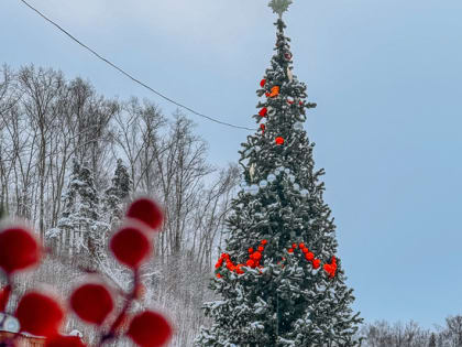 Плёс готовится к встрече Нового года