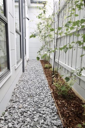 Melbourne outdoor garden renovation. Crushed rock path and gardenbed with mulch and green leaves