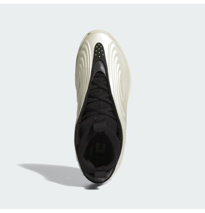 Adidas Harden Vol 10