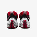 Lebron 4