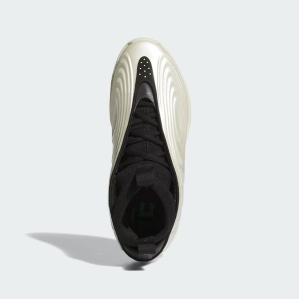 Adidas Harden Vol 10