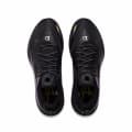 DLO 2 “Black Knight”