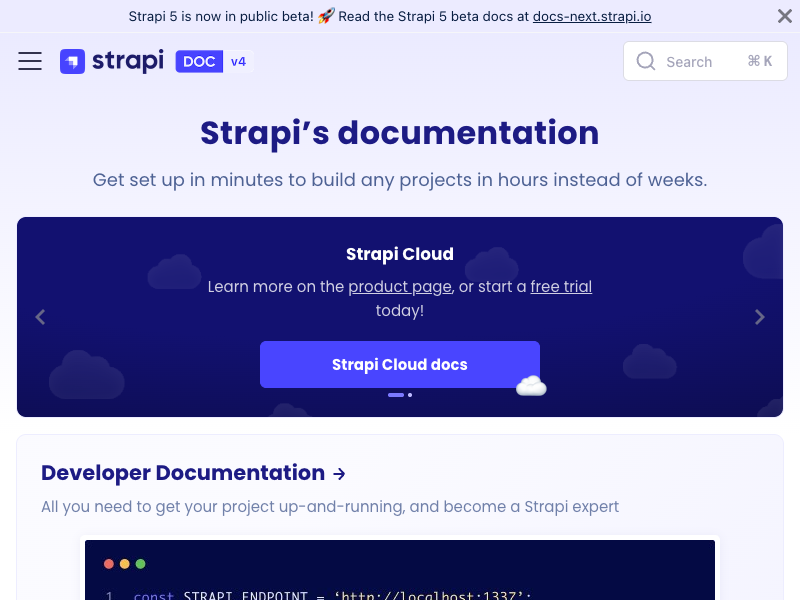 Strapi API