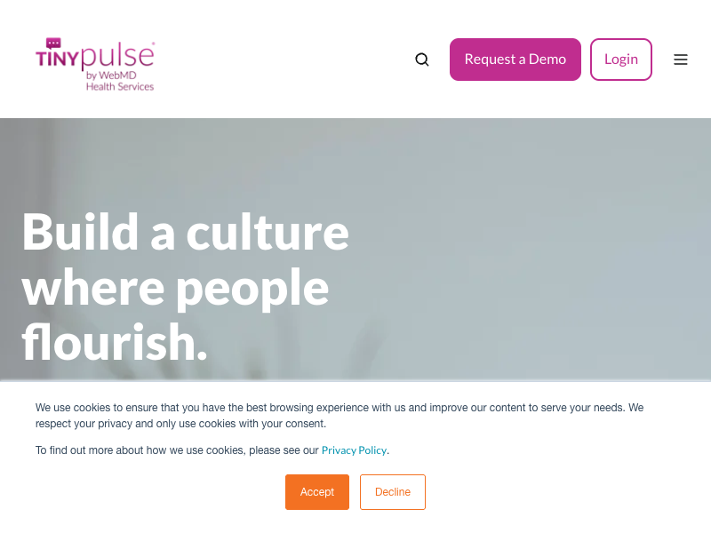 TINYpulse API