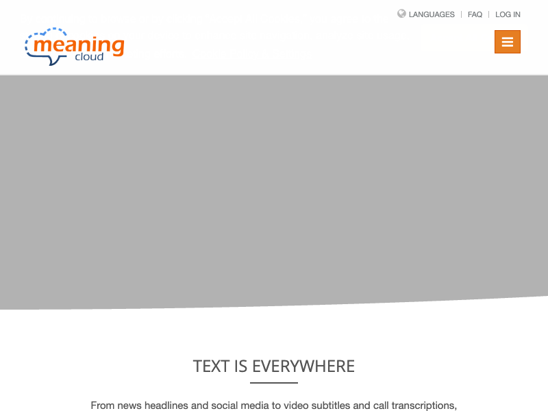 MeaningCloud API