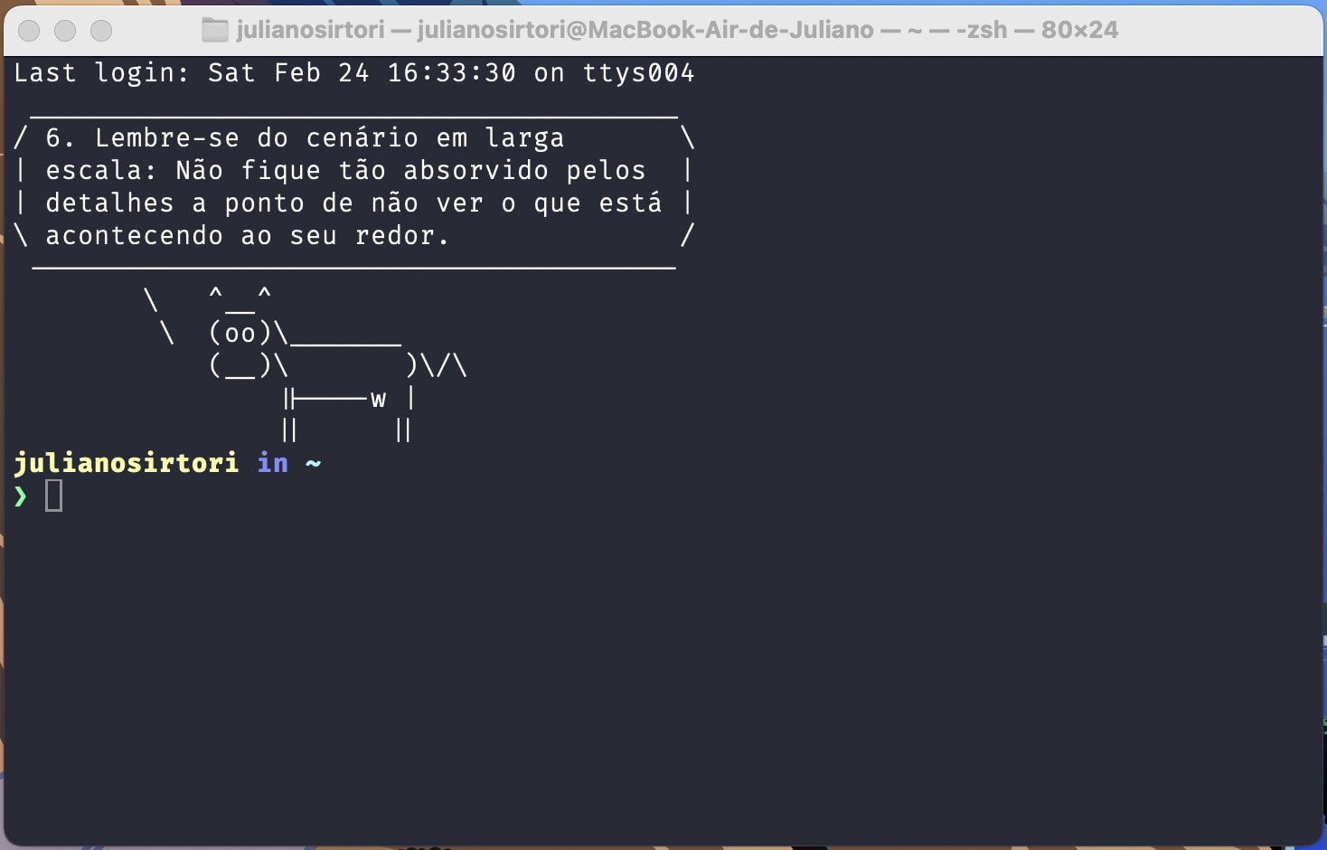 Terminal demostrando o usdo do cowsay-pragmatic-programmer, mostrando uma frase