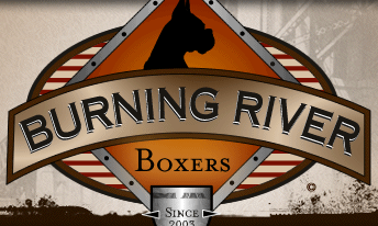 Gambar burningriverboxers