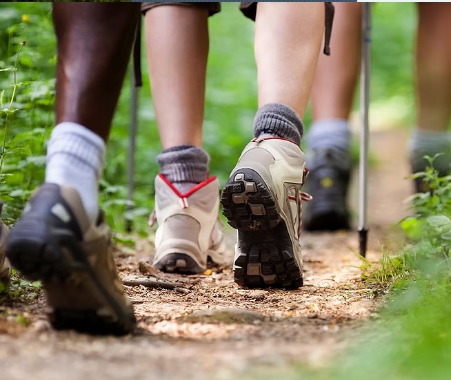 Gambar Business Netwalking