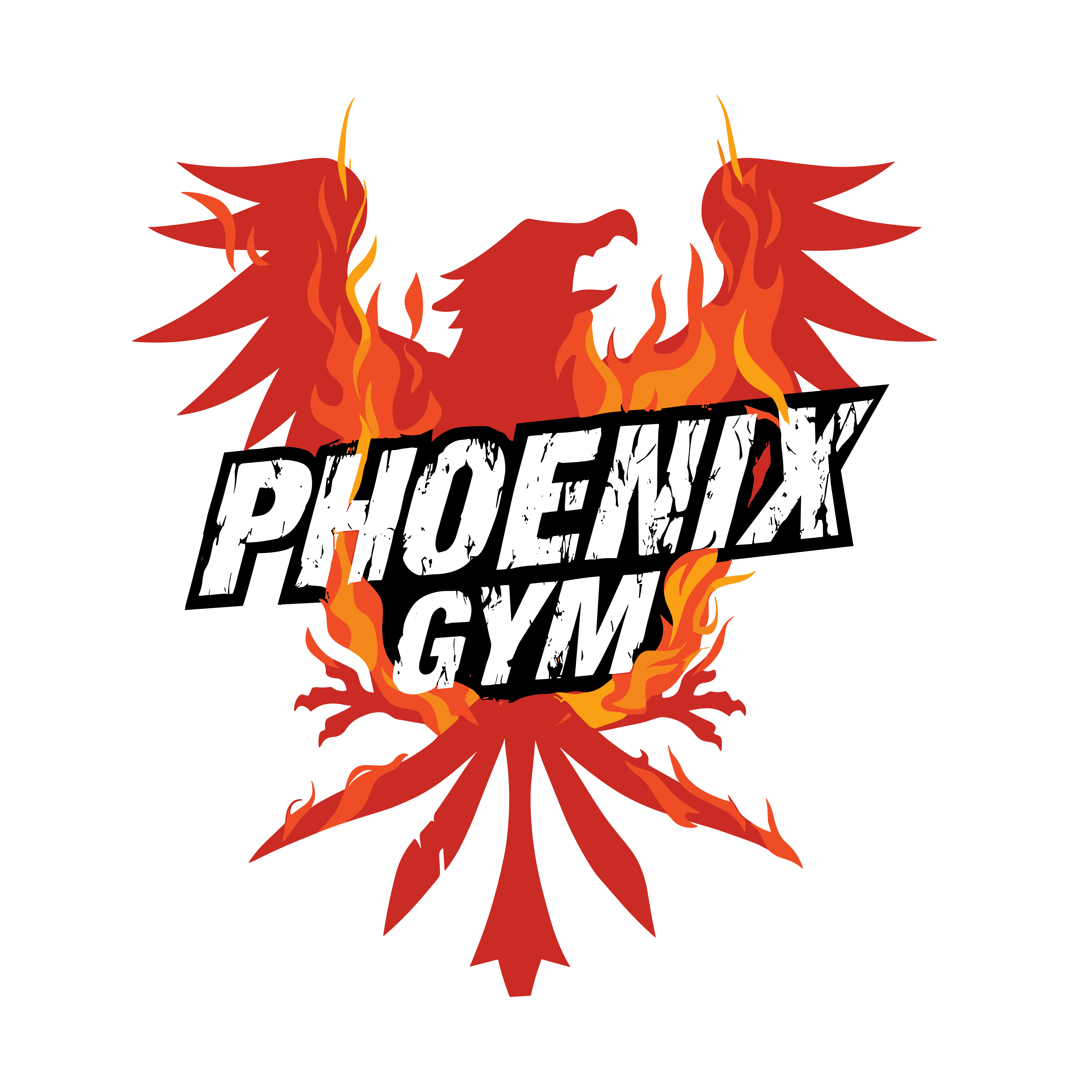 Phoenix Gym Lombok photo (Gym's own website (og:image))