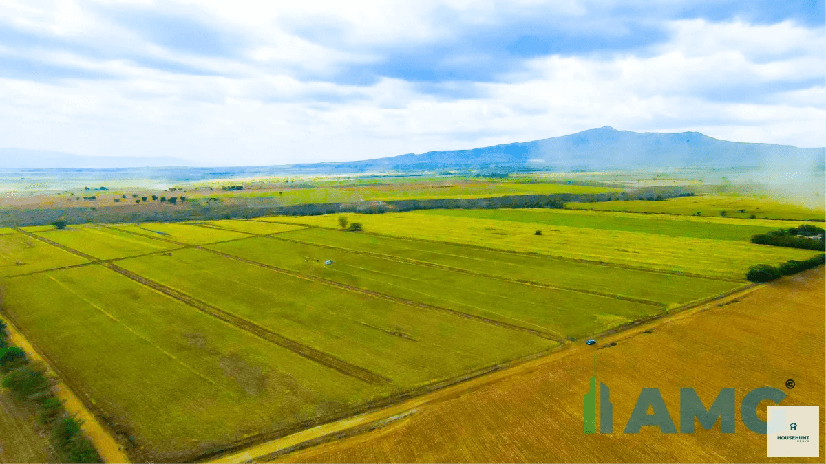 Land for Sale Naivasha Silverbell - Image 1