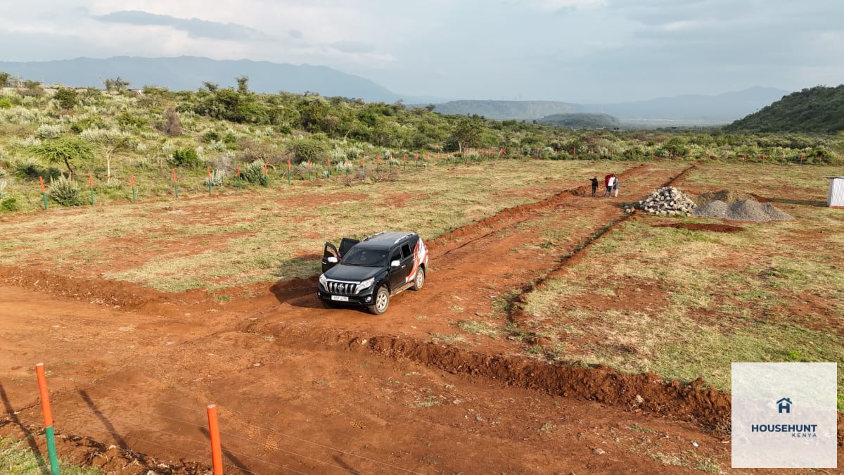 Victory Gardens - Image 1