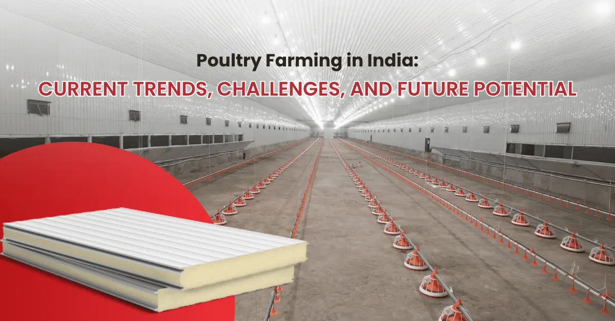 Poultry Farming in India: Current Trends, Challenges, and Future Potential