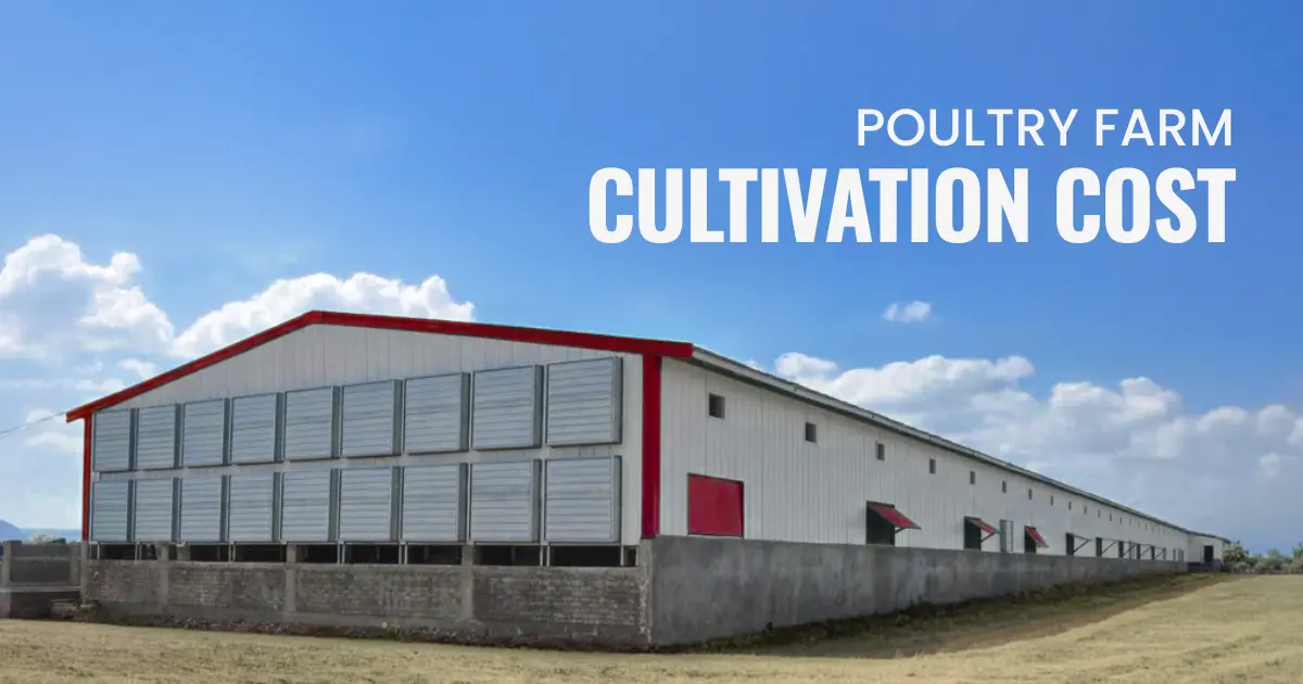 Poultry Farming Cost in India