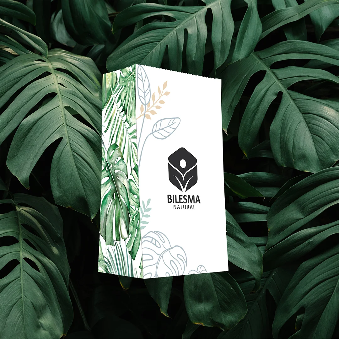 Bilesma Natural logo brand panel with watercolour botanicals — packaging design by Uniix Studio