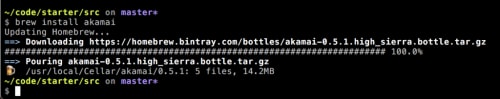 Screenshot showing the install process for a homebrew package