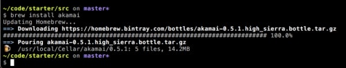 Screenshot showing the install process for a homebrew package