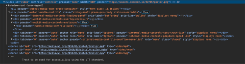 Example of Google Chrome's built-in Shadow DOM for video elements