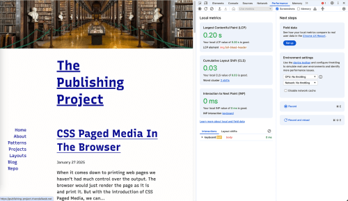 Initial view of Chrome DevTools performance tab