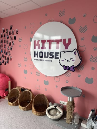 KittyHouse shelter