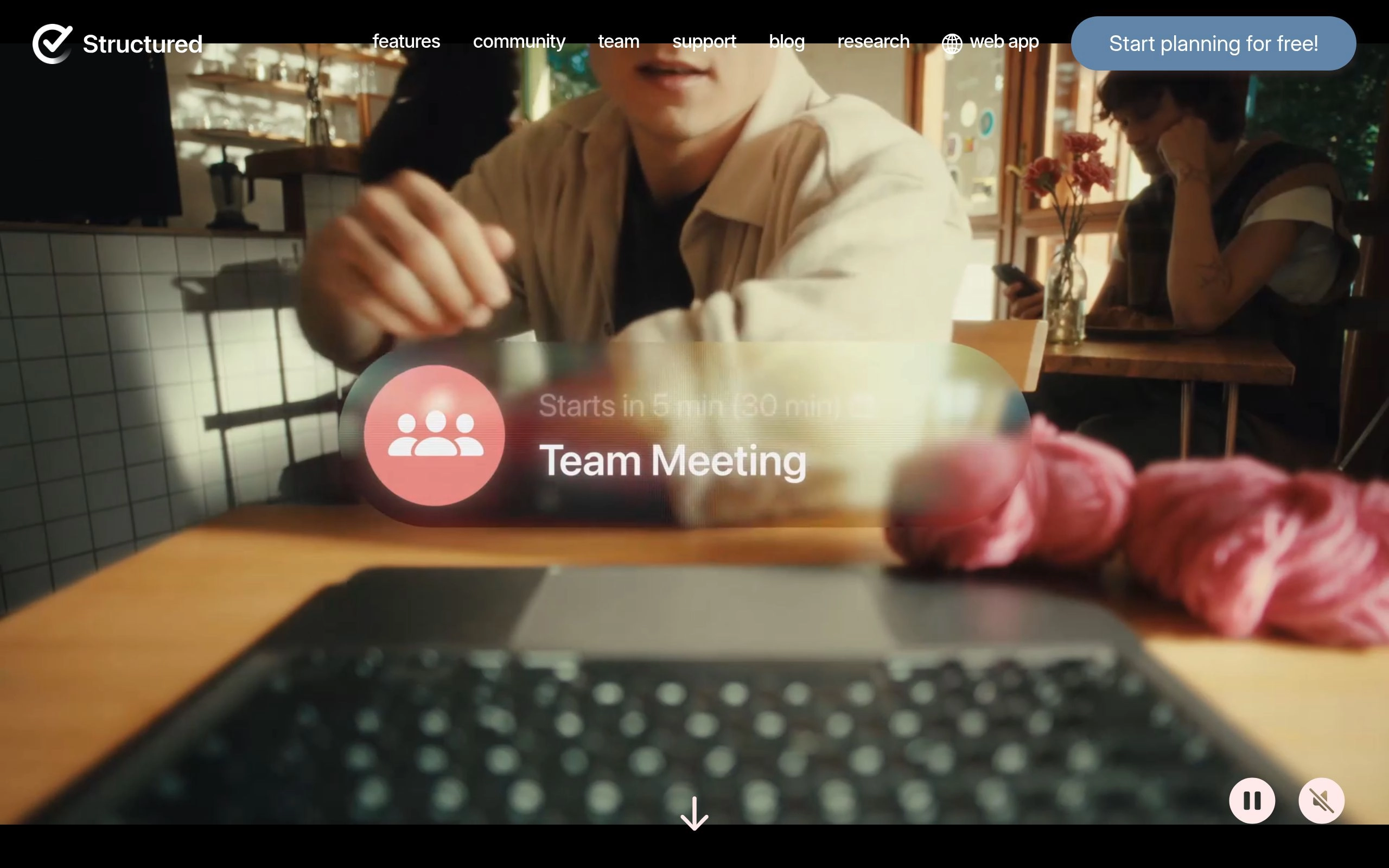 Structured AI Software User Interface and Dashboard Screenshot Preview
