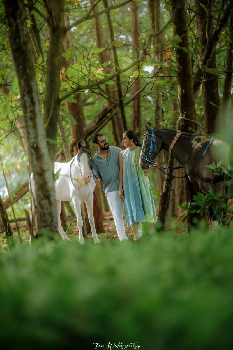Albin and Linta - Happily Ever After