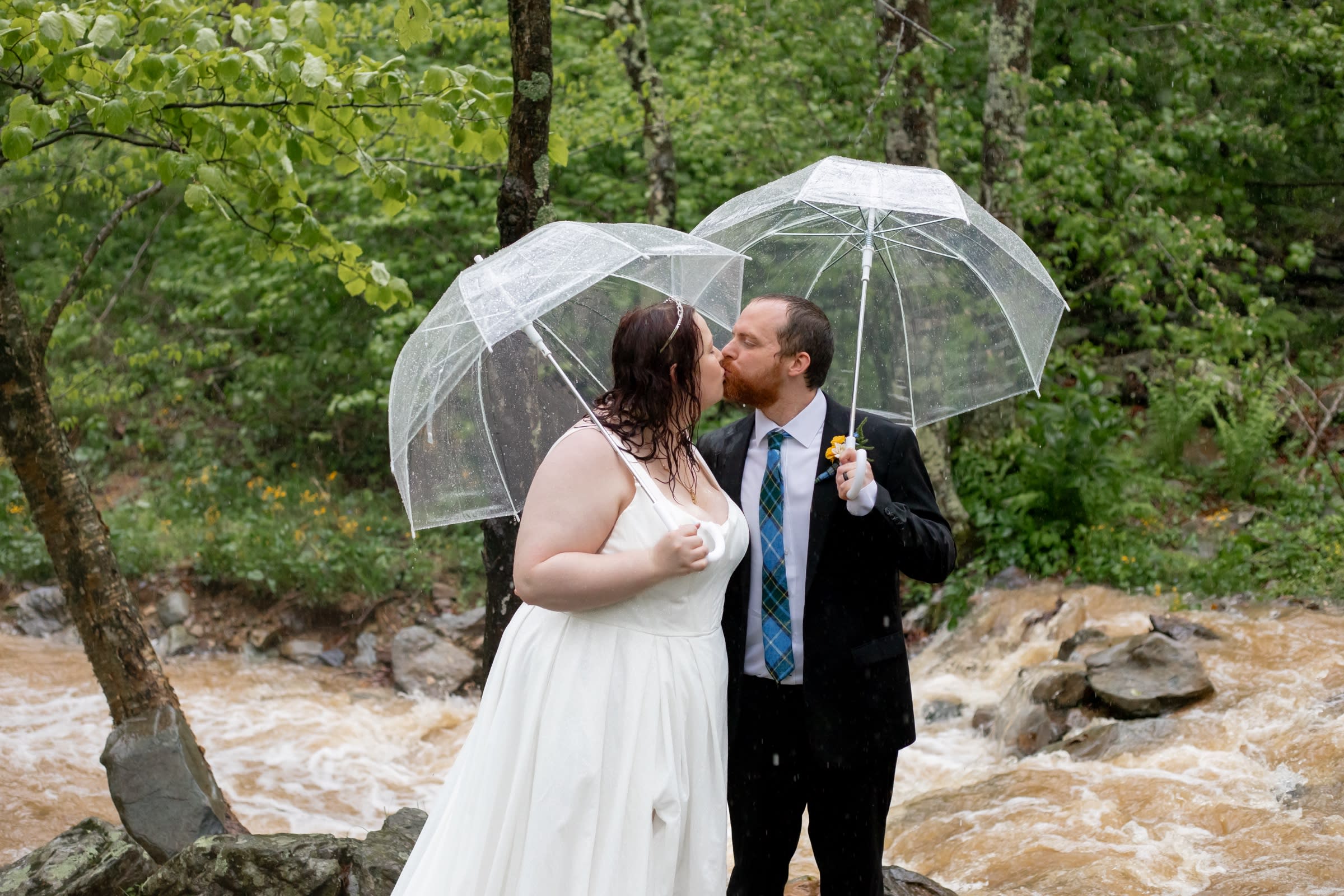 Couple kissing in the rain with clear umbrellas at Dark Hollow Falls, rushing spring water behind them