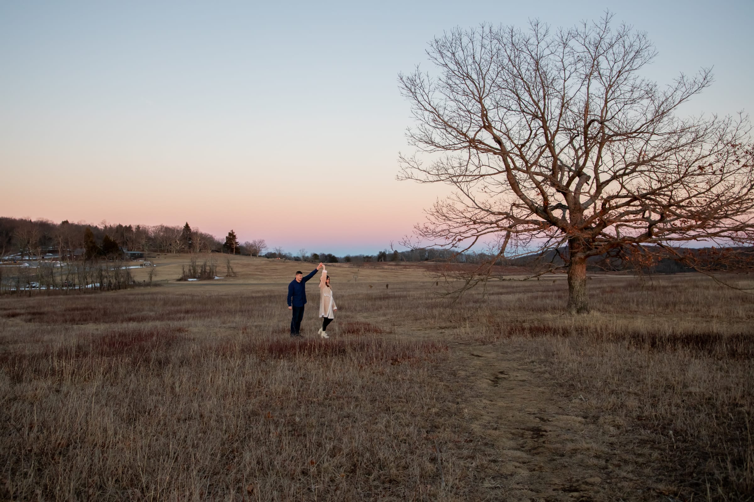 Couple in an open field at twilight in Virginia, bare tree and soft pink sky behind them