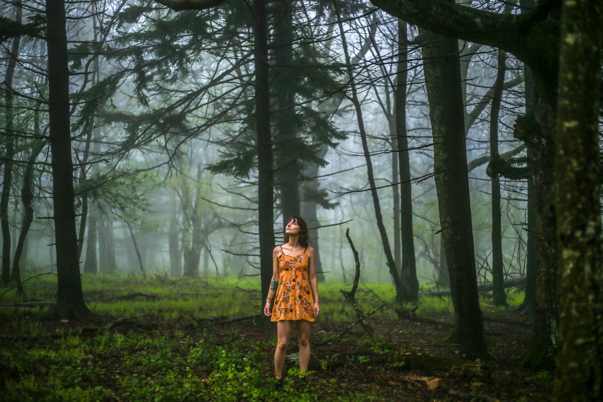 Alysa Segovia standing in a misty pine forest